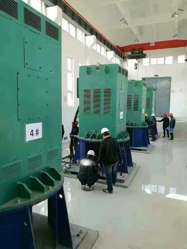 隆昌某污水处理厂使用我厂的立式高压电机安装现场